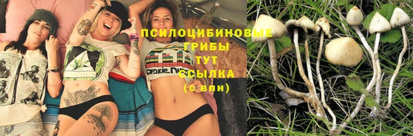 а пвп мука Алексеевка