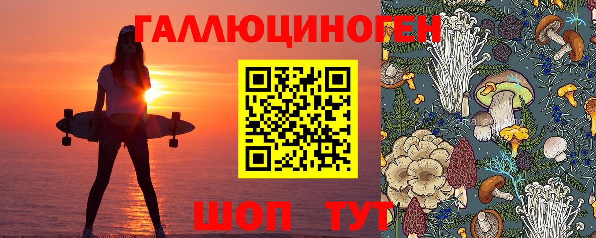 Невинномысск  Галлюциногенные грибы мицелий  Вход с VPN  хочу наркоту  Галлюциногенные грибы Psilocybine cubensis 