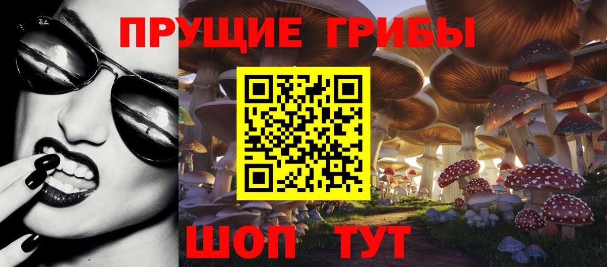 Галлюциногенные грибы мицелий Невинномысск